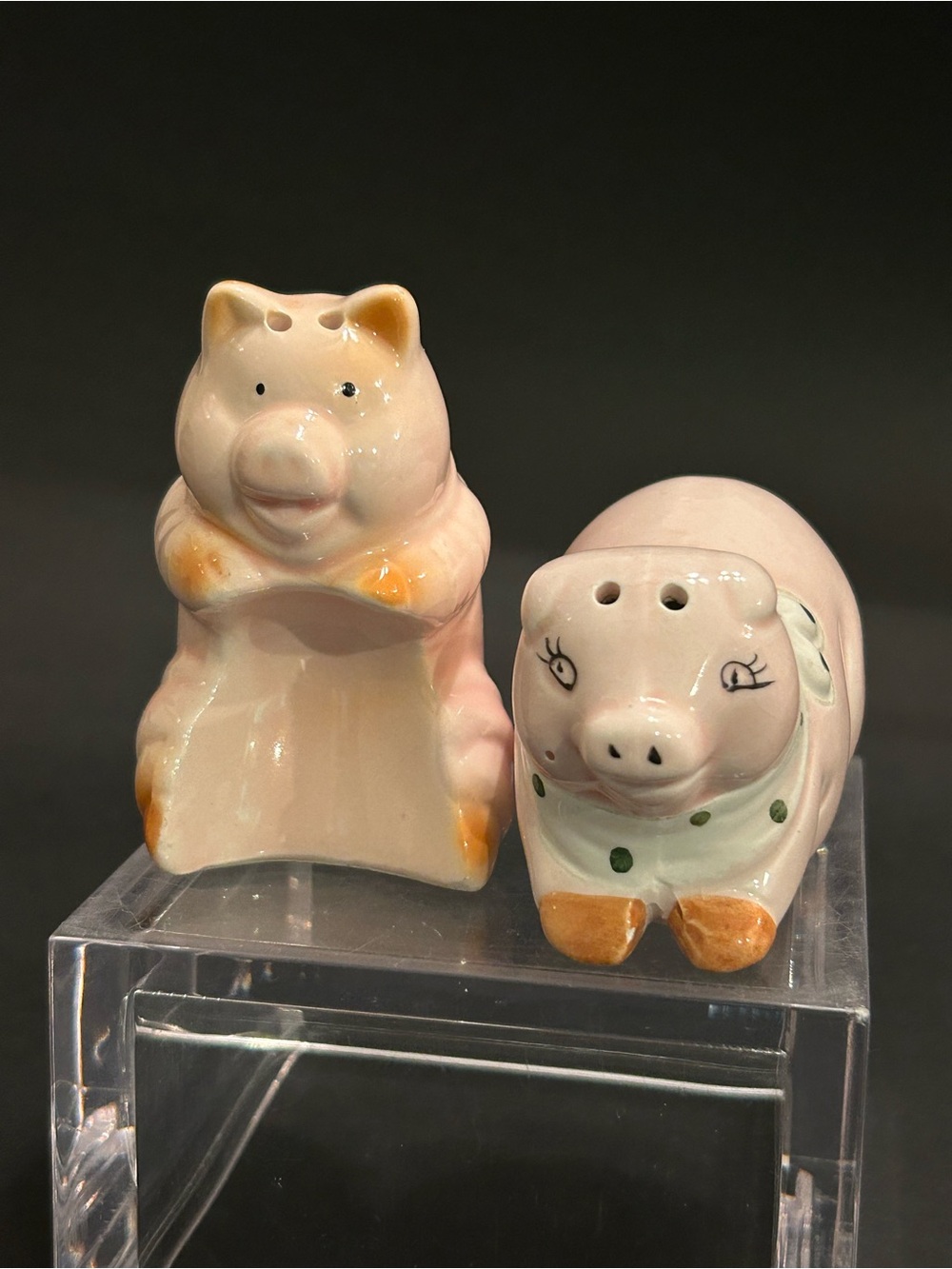 “Naughty” Pink Pig Salt & Pepper Ceramic Shakers Set